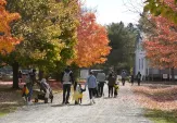 ScaryFest Presented by The Friends of Markham Museum