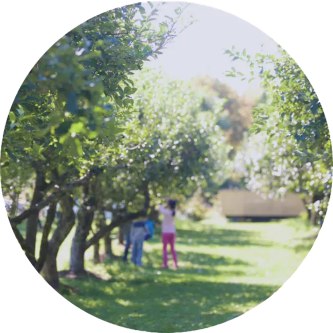 family in a orchard 