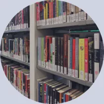 library books on shelves