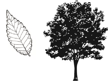 Conditional Tree List